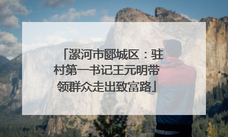 漯河市郾城区：驻村第一书记王元明带领群众走出致富路